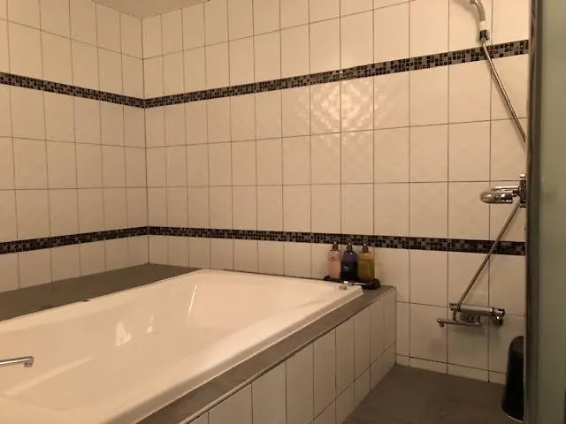 プライムホテルフルーラ  大阪市 2*,
